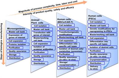 Cell-Based Therapy Manufacturing in Stirred Suspension Bioreactor: Thoughts for cGMP Compliance